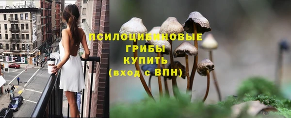 крисы Балабаново