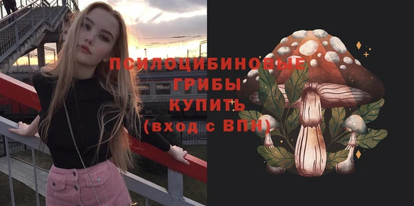 Альфа ПВП Балахна
