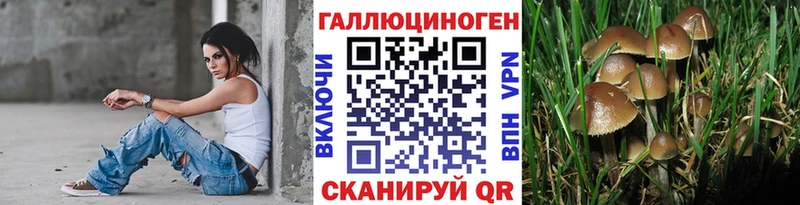 купить закладку Гаджиево Псилоцибиновые грибы MAGIC MUSHROOMS